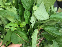 Ảnh bìa bài viết 357121