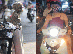 Ảnh bìa bài viết 357340