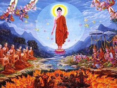 Ảnh bìa bài viết 357469