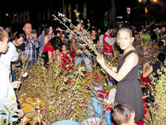 Ảnh bìa bài viết 357445