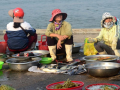 Ảnh bìa bài viết 357576