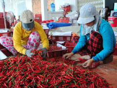 Ảnh bìa bài viết 357774