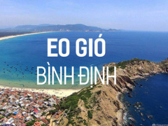 Ảnh bìa bài viết 357903