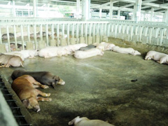 Ảnh bìa bài viết 358231