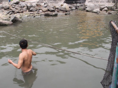 Ảnh bìa bài viết 358239