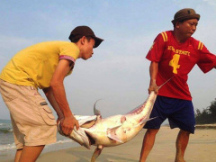 Ảnh bìa bài viết 358207