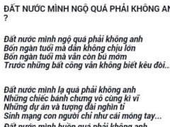 Ảnh bìa bài viết 358462