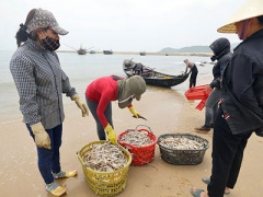 Ảnh bìa bài viết 358458