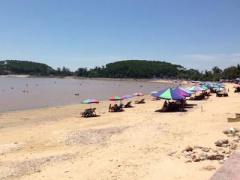 Ảnh bìa bài viết 358342