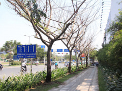 Ảnh bìa bài viết 358748