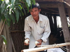 Ảnh bìa bài viết 358624