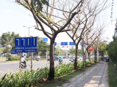 Ảnh bìa bài viết 358767