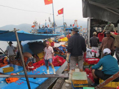 Ảnh bìa bài viết 358976