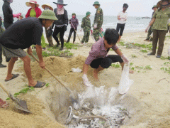 Ảnh bìa bài viết 359015