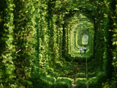 Ảnh bìa bài viết 359040