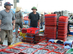 Ảnh bìa bài viết 359137
