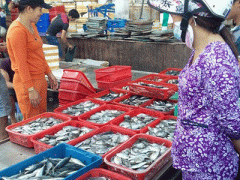 Ảnh bìa bài viết 359108