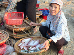 Ảnh bìa bài viết 359149