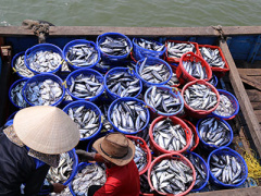 Ảnh bìa bài viết 359274