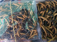 Ảnh bìa bài viết 359416
