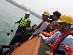 Ảnh bìa bài viết 359487