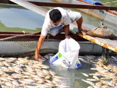 Ảnh bìa bài viết 359585