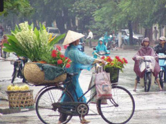 Ảnh bìa bài viết 359401