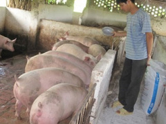 Ảnh bìa bài viết 359433