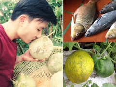 Ảnh bìa bài viết 359749