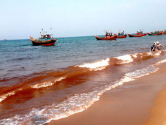 Ảnh bìa bài viết 359735