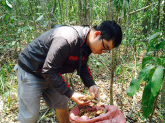 Ảnh bìa bài viết 359642
