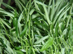 Ảnh bìa bài viết 359953