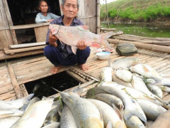 Ảnh bìa bài viết 360396