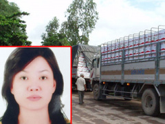 Ảnh bìa bài viết 360365