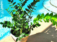 Ảnh bìa bài viết 360637