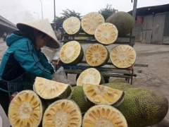 Ảnh bìa bài viết 360619