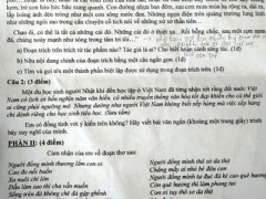 Ảnh bìa bài viết 360537