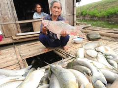 Ảnh bìa bài viết 360675