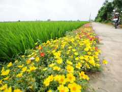 Ảnh bìa bài viết 360890