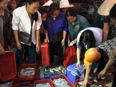 Ảnh bìa bài viết 360967