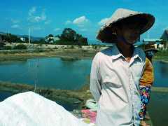 Ảnh bìa bài viết 361066