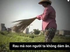 Ảnh bìa bài viết 361147