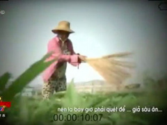 Ảnh bìa bài viết 361234
