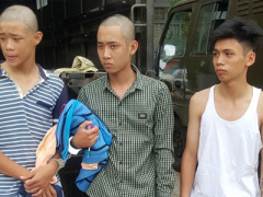 Ảnh bìa bài viết 361490