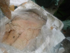 Ảnh bìa bài viết 361458