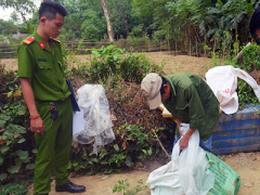 Ảnh bìa bài viết 361718