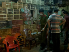Ảnh bìa bài viết 361592