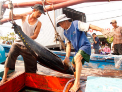 Ảnh bìa bài viết 361613