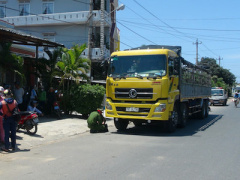 Ảnh bìa bài viết 361833