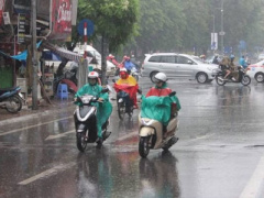 Ảnh bìa bài viết 361884